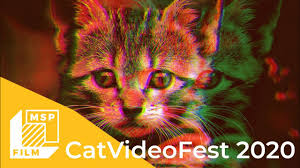 Passive aggressive cats video compilation 2020. Catvideofest 2020 Official Trailer Youtube