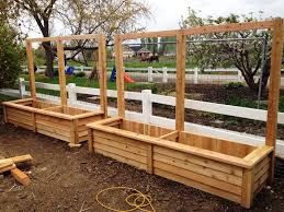 This diy cedar planter box is easy to build. Classy Design Garden Box Design Ideas Ideas Simple Unpolished Fence Cedar Planter Boxes Nailed With Commercia Garden Boxes Raised Garden Boxes Diy Garden Boxes