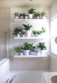 So Dekorieren Sie Ihre Leeren Wande 17 Inspirierende Schicke Ideen In 2020 Pflanzenwand Kleine Wohnung Dekorieren Badezimmer Dekor