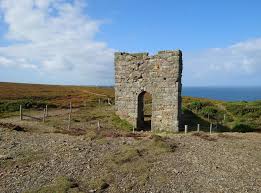 Image result for Wheal