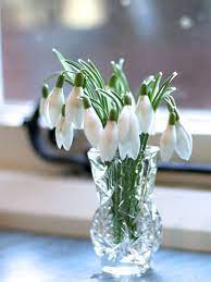 Tint Vase Of Snowdrops Flower Arrangements Flowers Crystal Vase