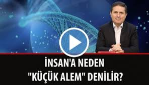 Insan Konusunda En Cok Merak Edilenler Sorularla Islamiyet