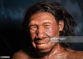 1,430 Neanderthal Photos and Premium High Res Pictures - Getty Images