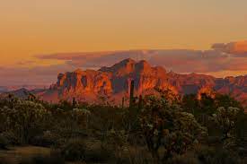 Desert cactus nature landscape mercedes 2010 mercedes benz benz gold creative graphics travel world. Hd Wallpaper United States Superstition Mountains Cactus Desert Sunset Wallpaper Flare