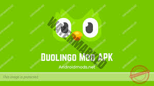 Each lesson comes in stages that you are asked to redo on a timely basis in order to properly memorize the information. Duolingo Mod Apk V5 34 0 Plus Unlocked Androidmods