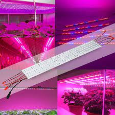 Maybe you would like to learn more about one of these? The Following Things About Led Grow Strip Lights That You Must Know By Led Sinjia Medium