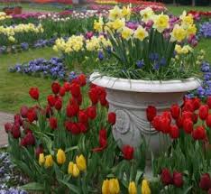 We did not find results for: Bulbs In Containers Lovetoknow
