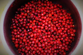 Delikatesse Selbstgemachtes Weissdornbeeren Gelee Delikatessen Weissdornbeeren Essen