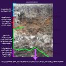 نتیجه تصویری برای گل صابونی در دفینه