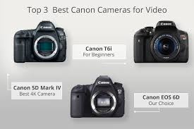 11 Best Canon Cameras For Video What S The Best Canon Camera For Video Recording Ir's best portrait camera shootout;