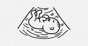 ultrasonography infant drawing coloring book fetal movement white child png pngegg coloriage de dessin au trait ben