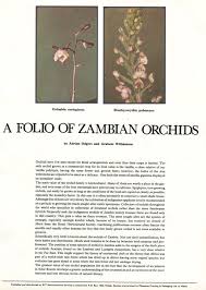 Image result for Eulophia coeloglossa