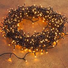 Pflanzen Kolle Led Ricelight Lichterkette 480 Lichter Classic Warm 36 M Schwarzes Kabel Lichterpracht In Christmas Lights Lights Interesting Things