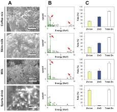 Coffee tables are available in many different shapes. Ijms Free Full Text Fate Determination Of Zno In Commercial Foods And Human Intestinal Cells Html