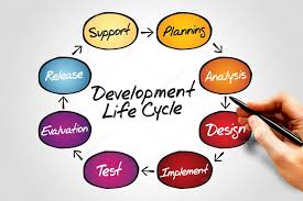 Development Life Cycle Stock Photo Dizanna 77280426