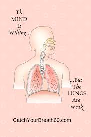 Pin On Exacerbation And Copd