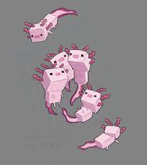 In bedrock edition, groups of one to four axolotls. Axolotl Minecraft Wiki