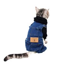 See more ideas about cats, cat clothes, cute cats. Small Cats Clothes Jeans Costume Kitten Clothes Outfit For Pet Clothes Dogs Cat Clothing Katten Kleding Chien Vetement Cat Clothing Aliexpress