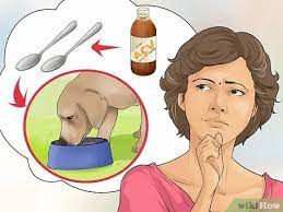 Appelazijn Gebruiken Bij Honden Wikihow