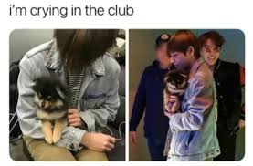 I Really Want A Dog Like Yeontan Yeontan Is So Freaking Adorable And Precious And Needs To Be Protected At All Costs Bts Taehyung Bts Funny Bts Bangtan Boy