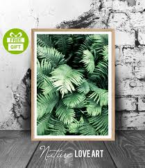 Poster Tropical Photo Fougeres Photo Feuilles Vertes Etsy Love Art Nature Photo