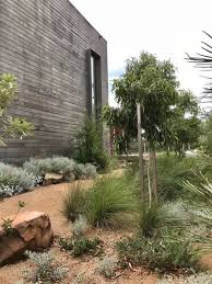 Modern Native Garden King S Landscaping Australian Garden Design Coastal Gardens Garden Landscape Design