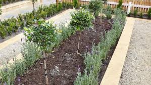 We've got you covered with these budget friendly garden ideas and tips, raised garden bed ideas, fairy garden ideas, herb garden, vegetable garden and flower garden ideas. How To Design A Garden Bunnings Australia
