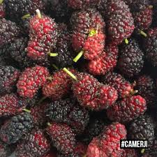 صورة مميزة على هاشتاج Camerji على إنستغرام من تصوير Loay Al Tal عمان الأردن تصوير Instagram Raspberry Fruit