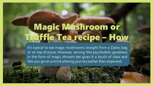 What's the best way to make magic mushrooms? Magic Mushroom Tea Recipe How To Make It