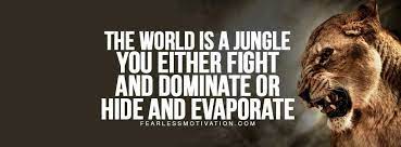 Pin On Quote