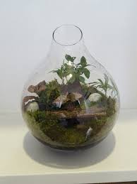 Epingle Par Le Coin Jardin Sur 300 Terrariums Jardinage Urbain Jardinage Coin Jardin
