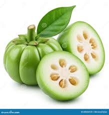 Image result for Garcinia acutifolia