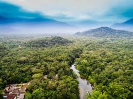 Dr Congo Travel Info Tourist Travel Guide Visit And Tour Rwanda