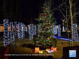 A Beautiful Christmas Tree And Lights On The Pines At Bearizona In Williams Arizona Holiday Holiday Fun Holidays And Events