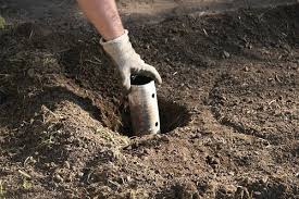 The guide helps you figure with reference to the video below: Pin On Gardening