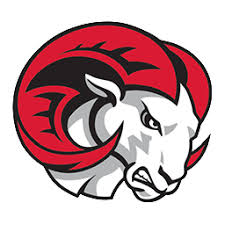 Image result for Fuirena claviseta