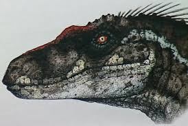 Jurassic park 3, kota semarang (semarang, indonesia). Male Velociraptor From Jurassic Park 3 Dinosaurios Jurassic World Fotos De Dinosaurios Animales Prehistoricos