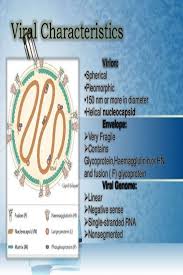 Pin On Paramyxovirus