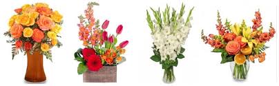 Maybe you would like to learn more about one of these? The 8 Best Options For Flower Delivery In Pensacola Florida 2021