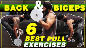 pull exercises for muscle building