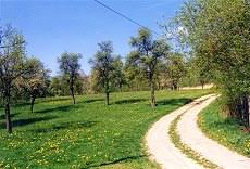 Thuringen Gartengrundstucke Kaufen Vom Verkaufer Immobilienmakler Garten
