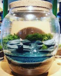 Mahmut Kirnik 695 Miniaturefairygardens How To Make Terrariums Terrarium Scene Terrarium Centerpiece