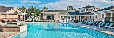 Apartments In Houston Tx Dog Friendly Apartments Apartments For Rent Apartment