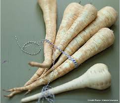 Cultiver Des Racines Oubliees Le Panais Le Rutabaga Et Le Topinambour Rutabaga Panais Legumes Oublies