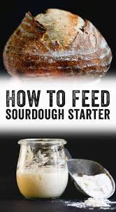 How To Feed Sourdough Starter A Couple Cooks Recipe Sourdough Starter Recipe Starters Recipes Bread Starter