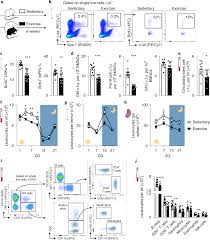 exercise reduces inflammatory cell production and