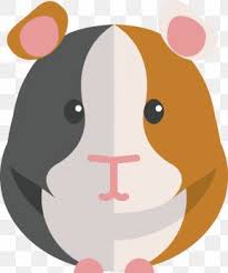 If you like, you can download pictures in icon format or directly in png image format. Pet Hamster Images Pet Hamster Transparent Png Free Download