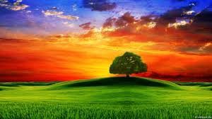 If you're looking for the best awesome backgrounds for desktop then wallpapertag is the place to be. Free Download Background Desktop Sf Wallpaper 1920x1080 For Your Desktop Mobile Tablet Explore 67 Free Backgrounds For Pc Free Wallpaper Backgrounds Free Images Wallpaper For Desktop Show Me Free Wallpaper