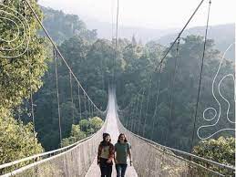 We did not find results for: Jembatan Gantung Terpanjang Se Asia Tenggara Ada Di Sukabumi Lifestyle Liputan6 Com