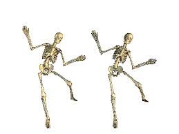 Https Encrypted Tbn0 Gstatic Com Images Q Tbn And9gcshcnjmzndx15vnyrn Kxtc7zqljqaj9aye2a Usqp Cau Discover & share this skeleton gif with everyone you know. 2